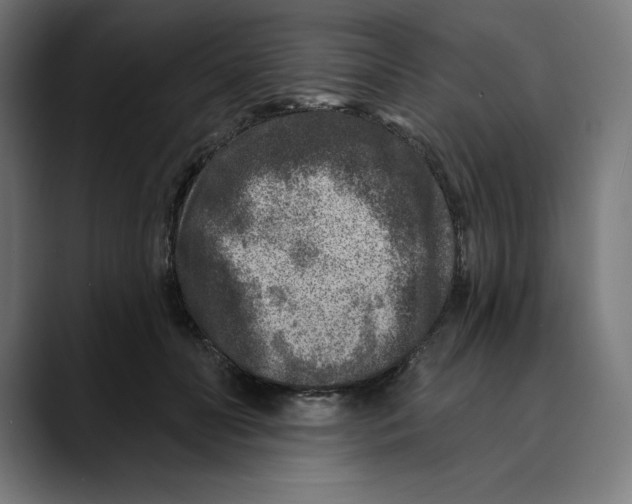 X0000088920606200707061404
