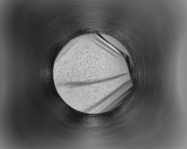 X0000088920608200707061404