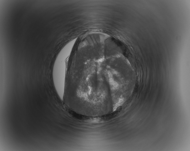 X0000088920609200707061404