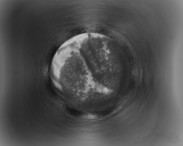 X0000088920610200707061404