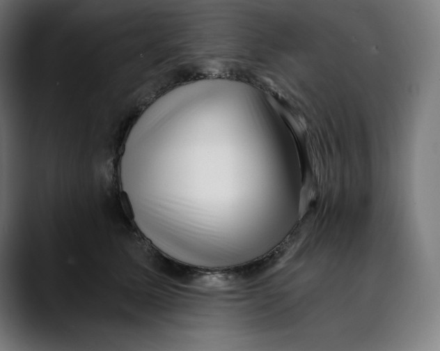 X0000088920611200707061404