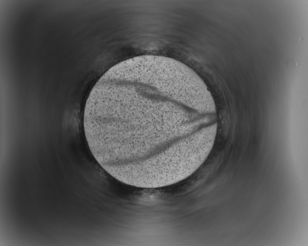 X0000088920612200707061404