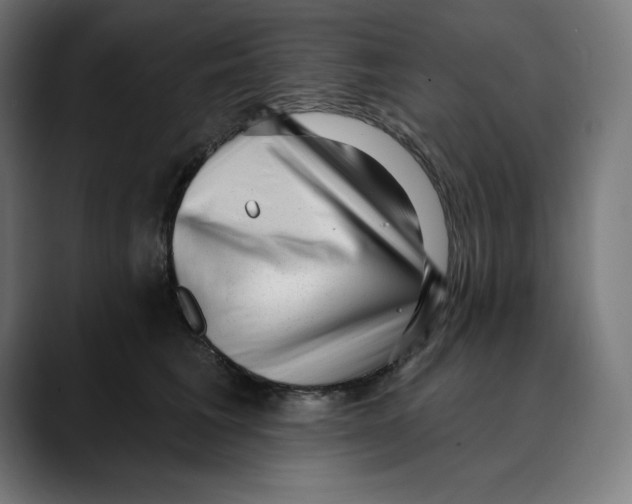 X0000088920613200707061404