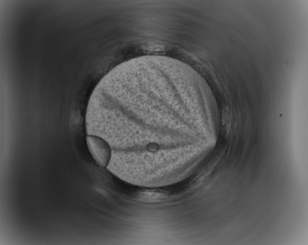 X0000088920614200707061404