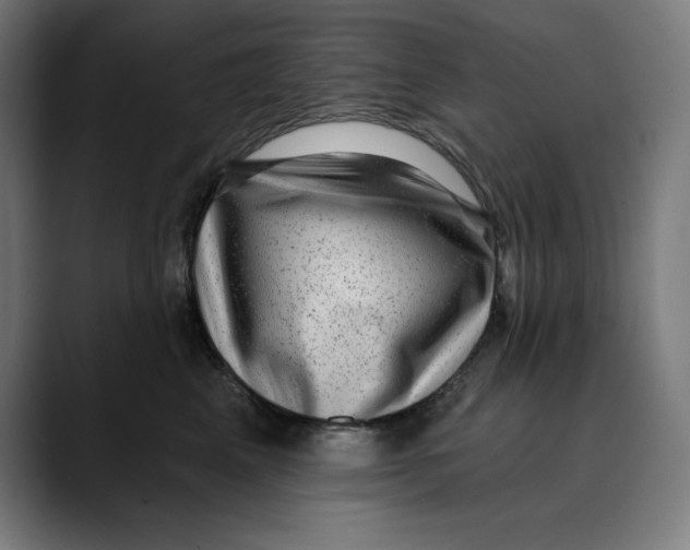 X0000088920617200707061404