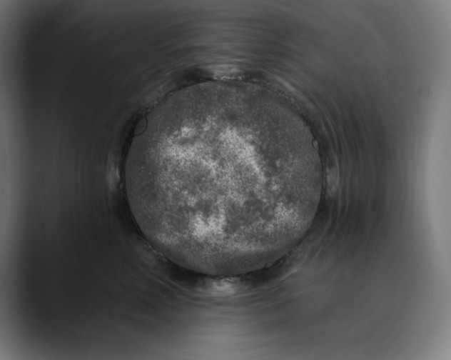 X0000088920618200707061404
