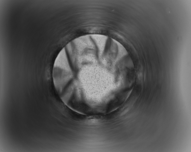 X0000088920620200707061404