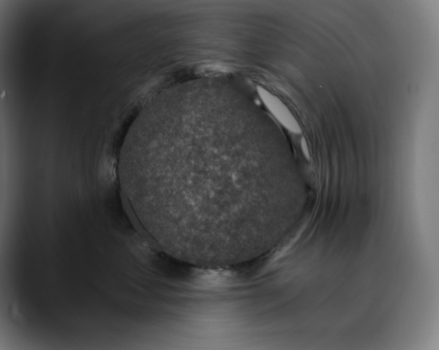 X0000088920621200707061404