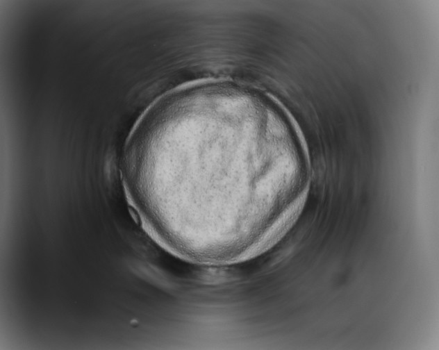 X0000088920623200707061404