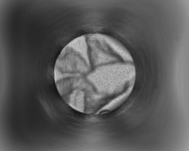 X0000088920624200707061404