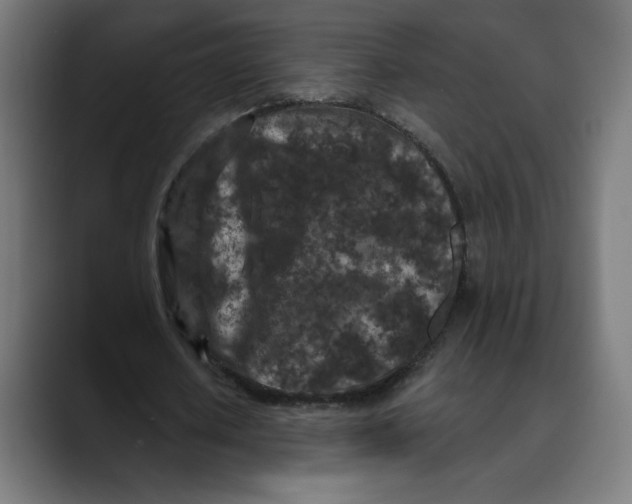 X0000088920626200707061404