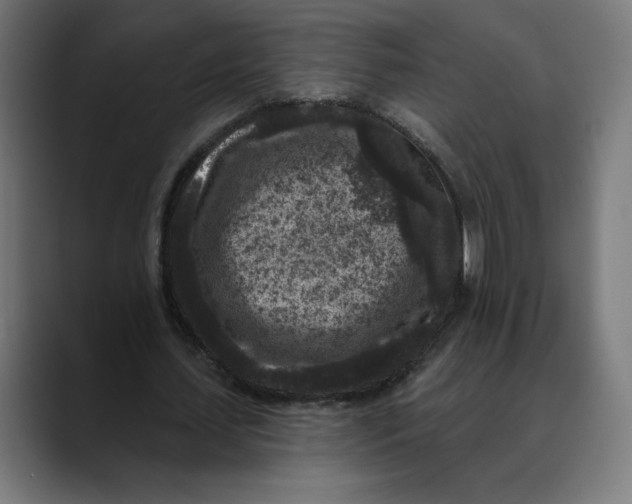 X0000088920627200707061404