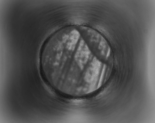 X0000088920630200707061404