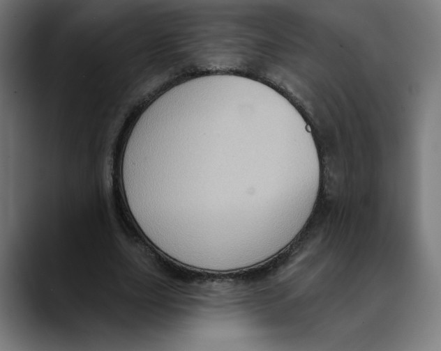 X0000088920631200707061404