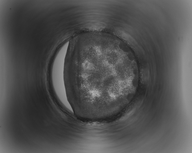X0000088920634200707061404