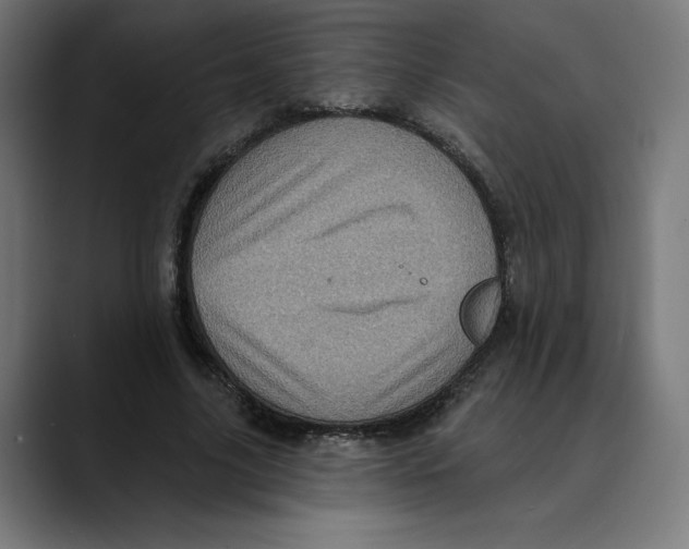 X0000088920635200707061404