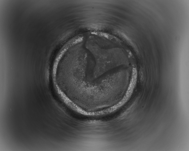 X0000088920637200707061404