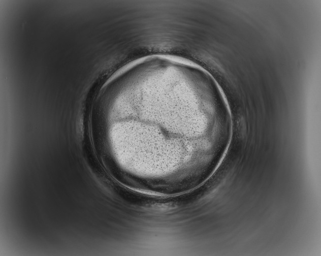 X0000088920638200707061404