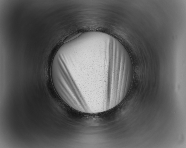 X0000088920642200707061404