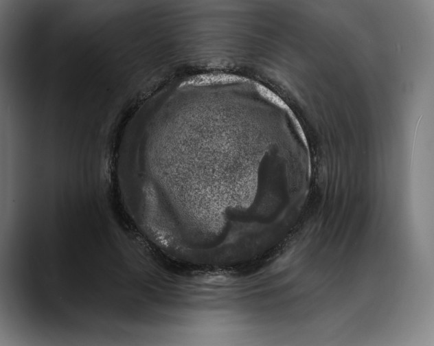 X0000088920643200707061404