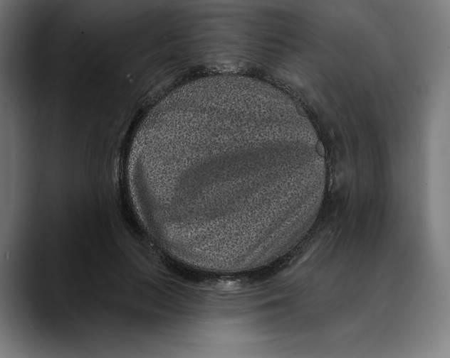 X0000088920647200707061404