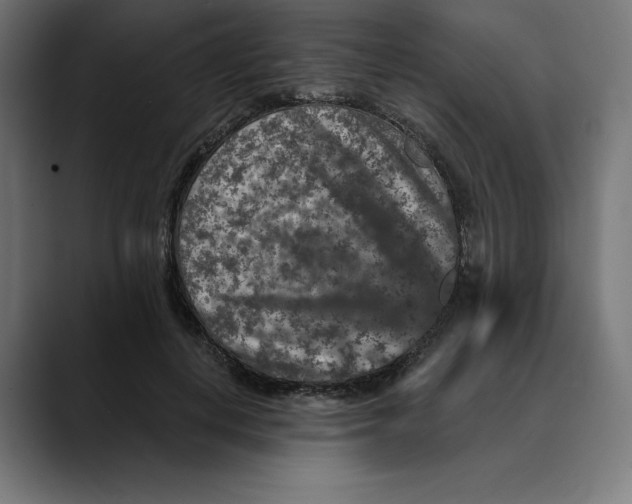 X0000088920648200707061404