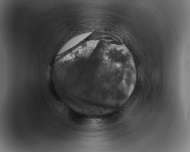 X0000088920650200707061404