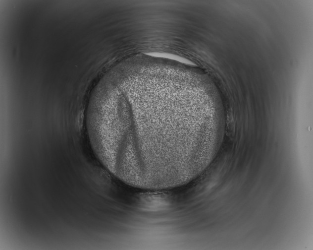 X0000088920652200707061404
