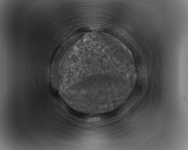 X0000088920653200707061404