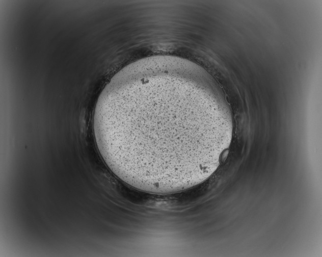 X0000088920655200707061404