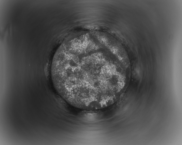 X0000088920658200707061404