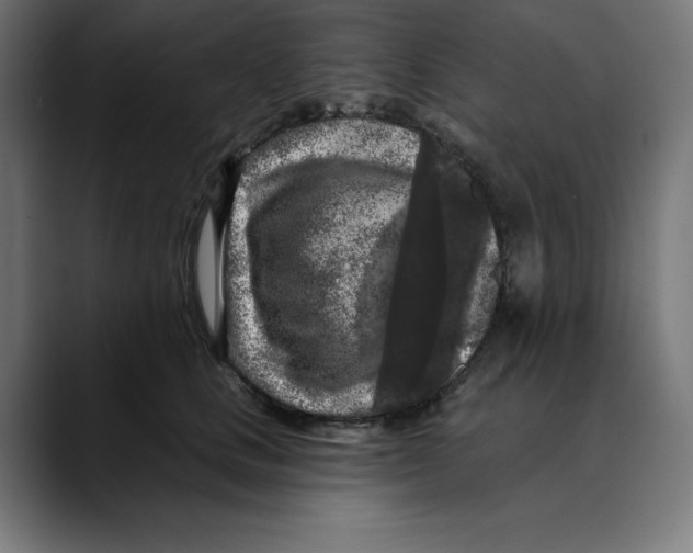 X0000088920661200707061404