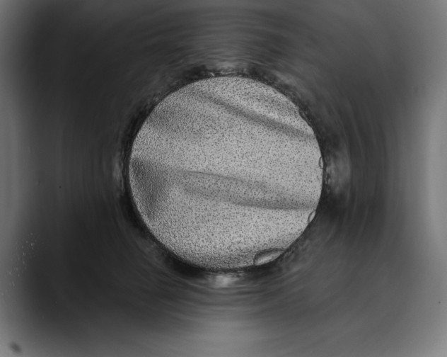 X0000088920662200707061404