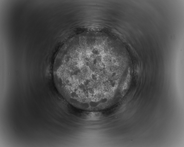 X0000088920663200707061404