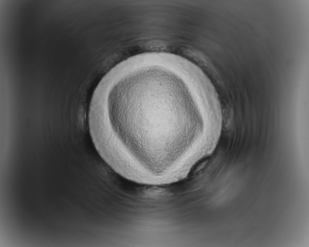 X0000088920669200707061404