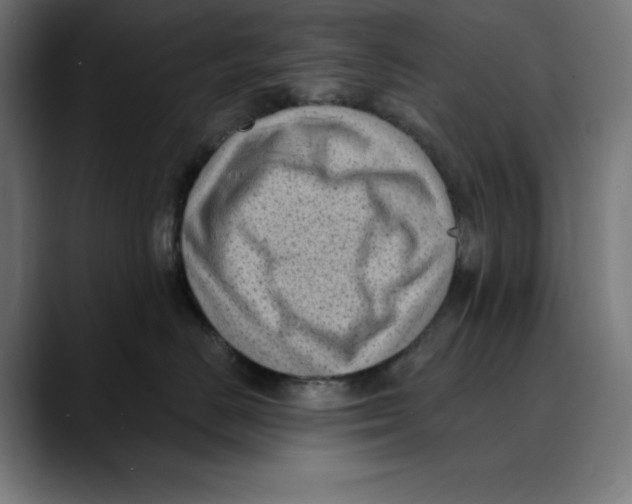 X0000088920670200707061404