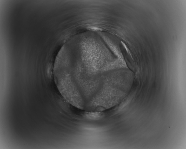 X0000088920671200707061404