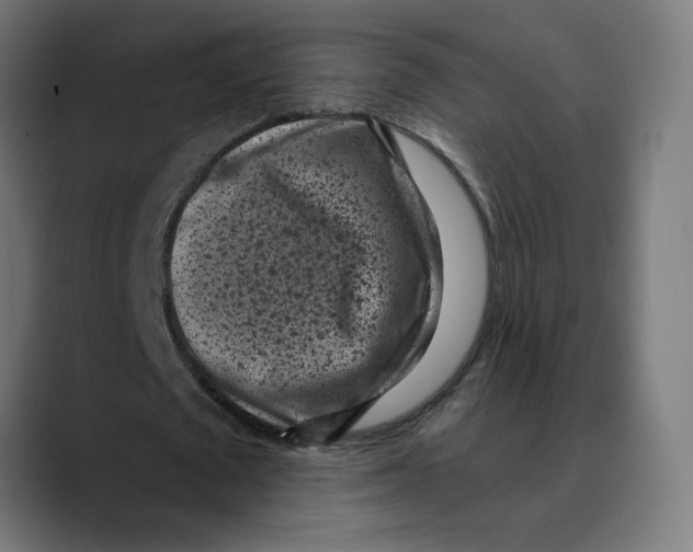X0000088920673200707061404