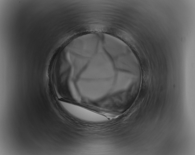X0000088920674200707061404