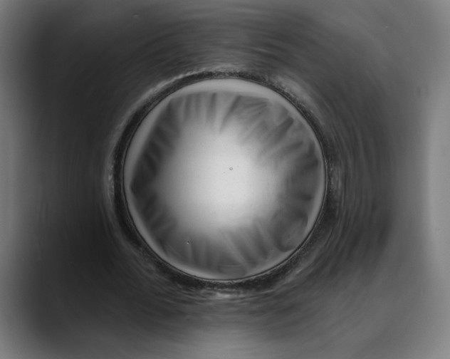 X0000088920676200707061404