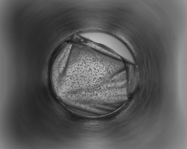 X0000088920677200707061404