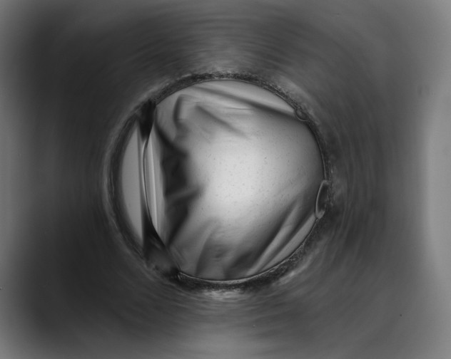 X0000088920680200707061404