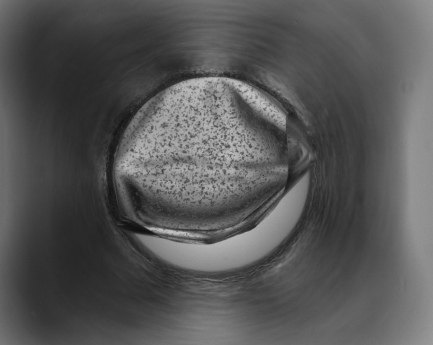 X0000088920681200707061404