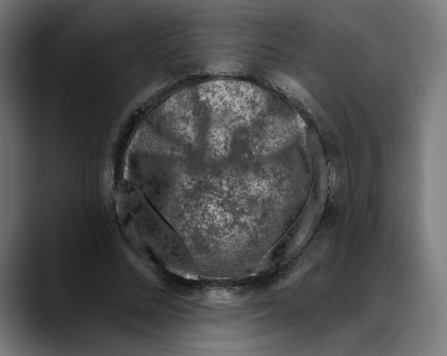 X0000088920684200707061404