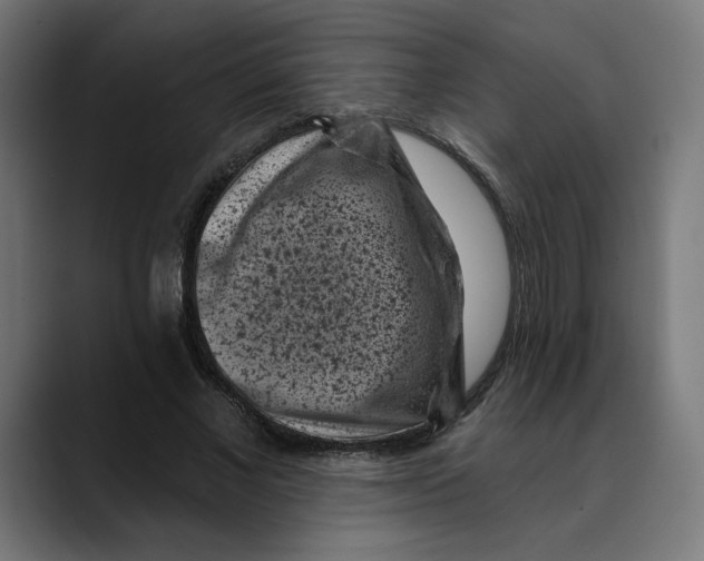 X0000088920685200707061404