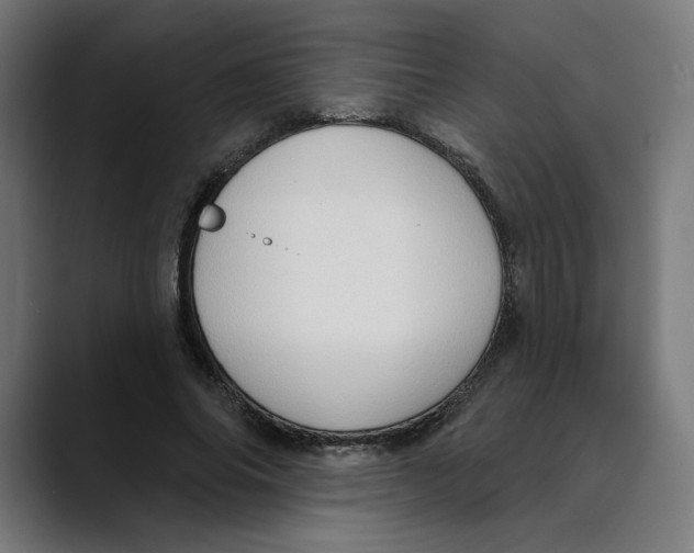X0000088920686200707061404