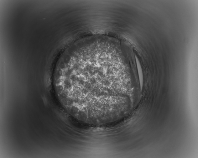 X0000088920687200707061403