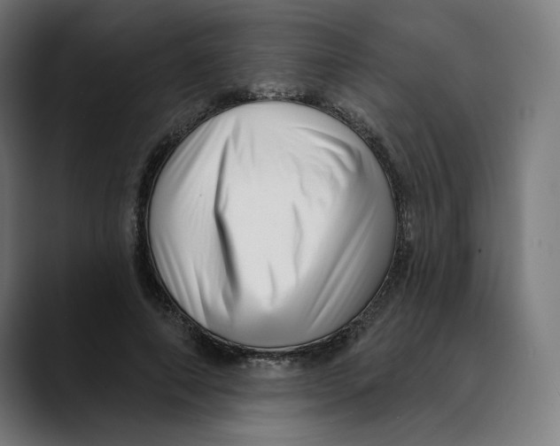 X0000088920690200707061403