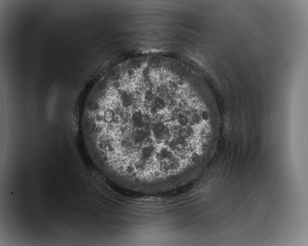 X0000088920691200707061403