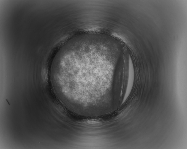 X0000088920692200707061403